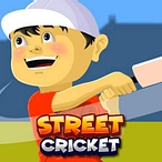 Street Cricket