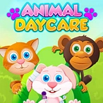 Animal Daycare