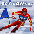 Slalom Ski Simulator